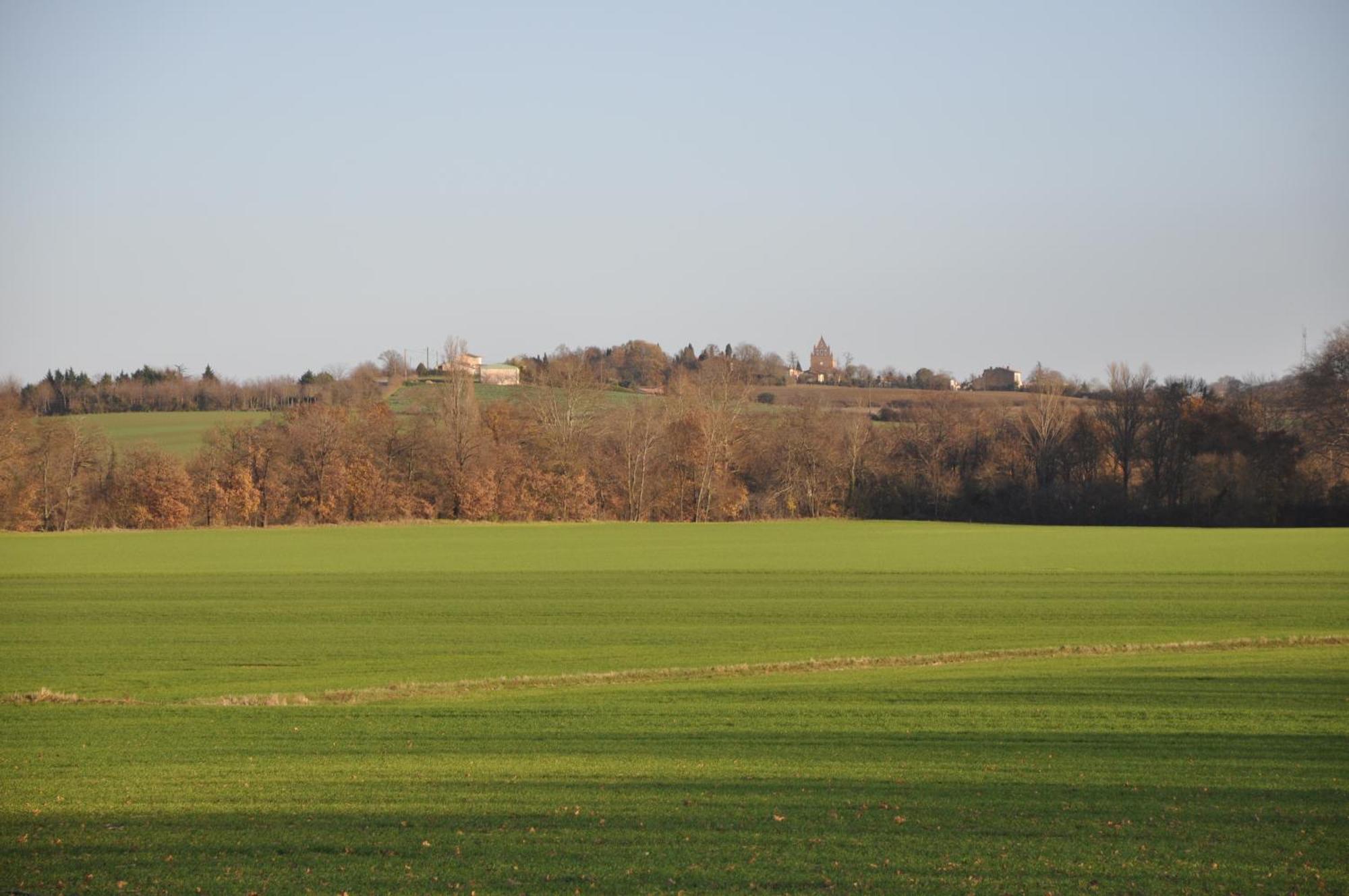 Domaine De Hurlevent Montgaillard-Lauragais Luaran gambar